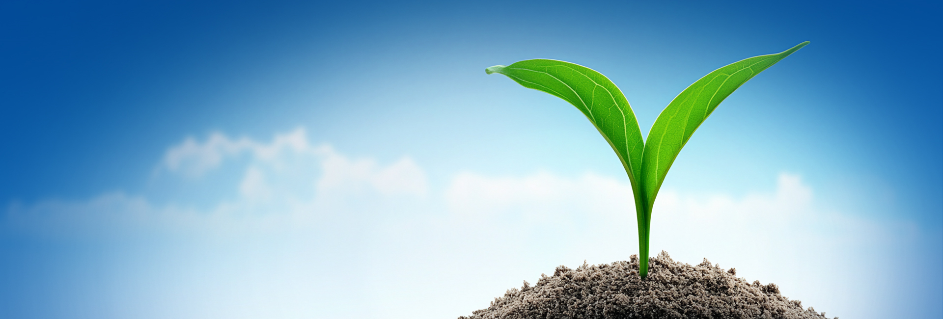 鸿运国际·(中国)集团-鸿运官网接待你